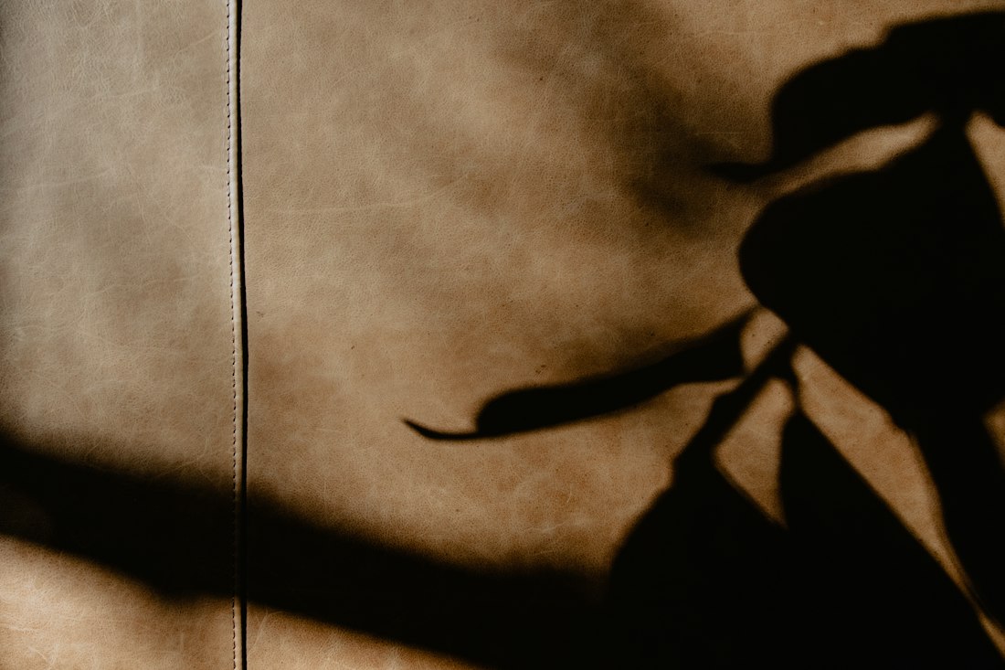 Soft shadows of leaves across a warm sunlit surface