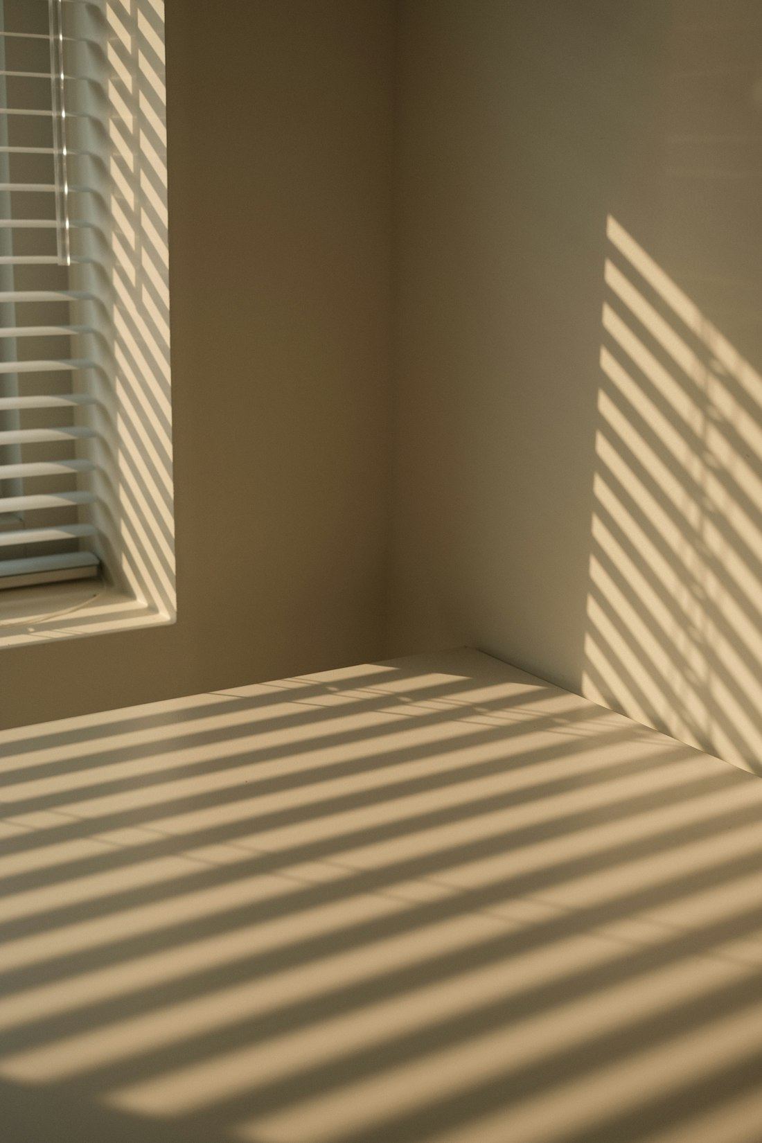 Light through slatted blinds across a quiet room
