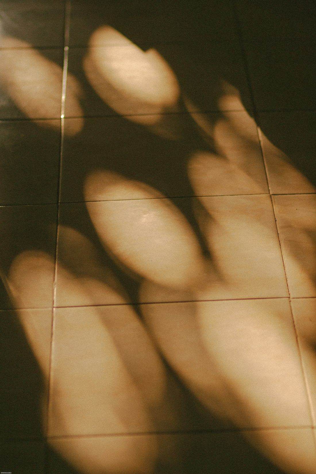 Dappled golden light on a tiled floor